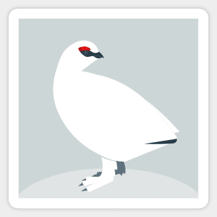 Rock ptarmigan in winter dress Sticker